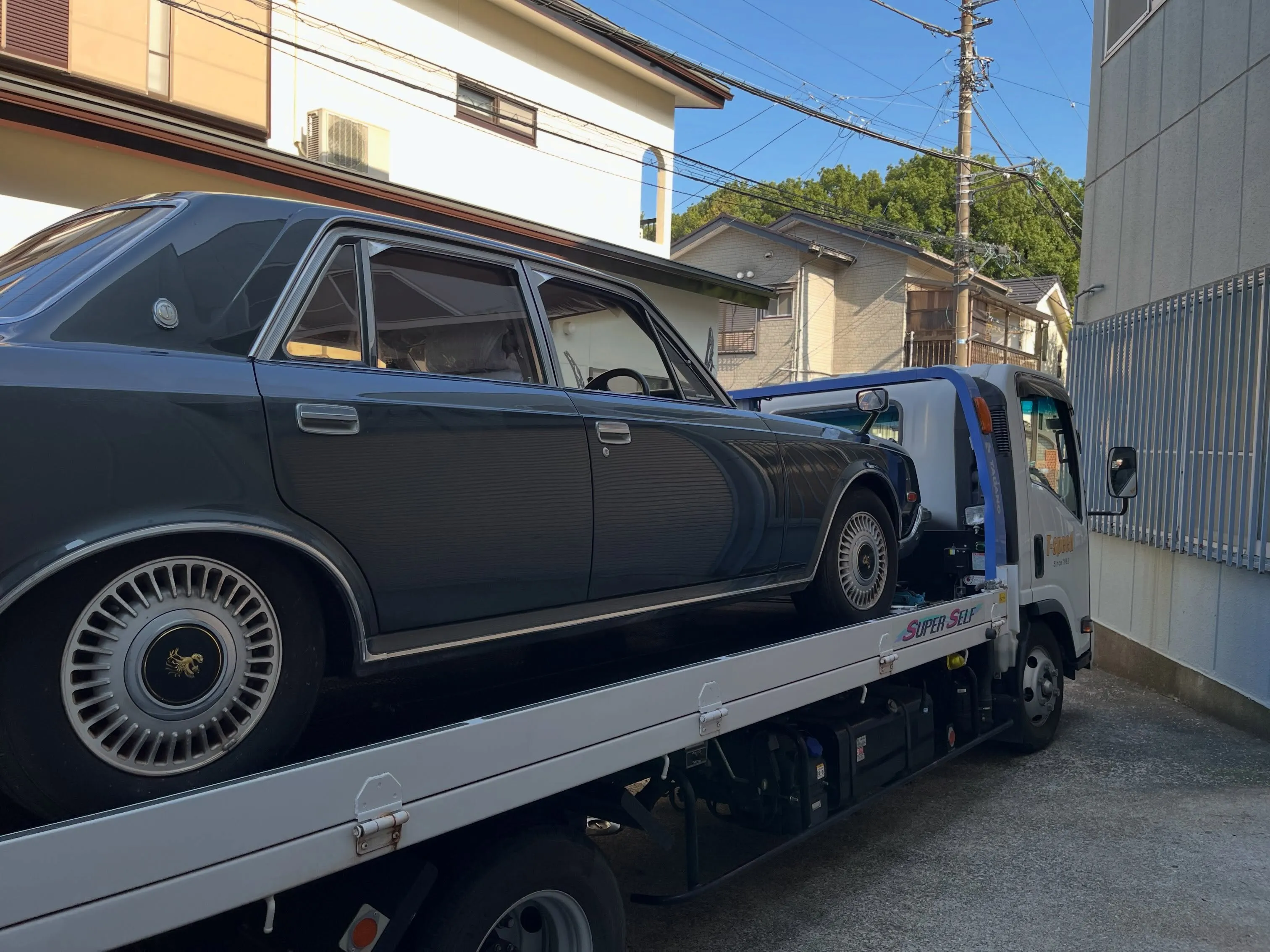 センチュリー長い眠りから救出作業手抜き無し